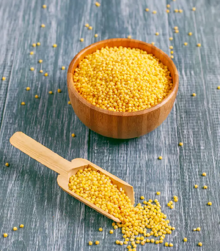 littile-millet Proso Millet - Image 1
